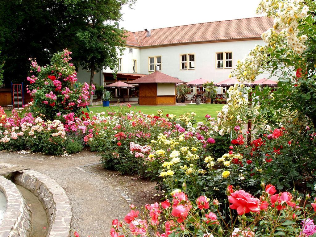 Hotel Weidenmuhle Muehlhausen  Exterior photo